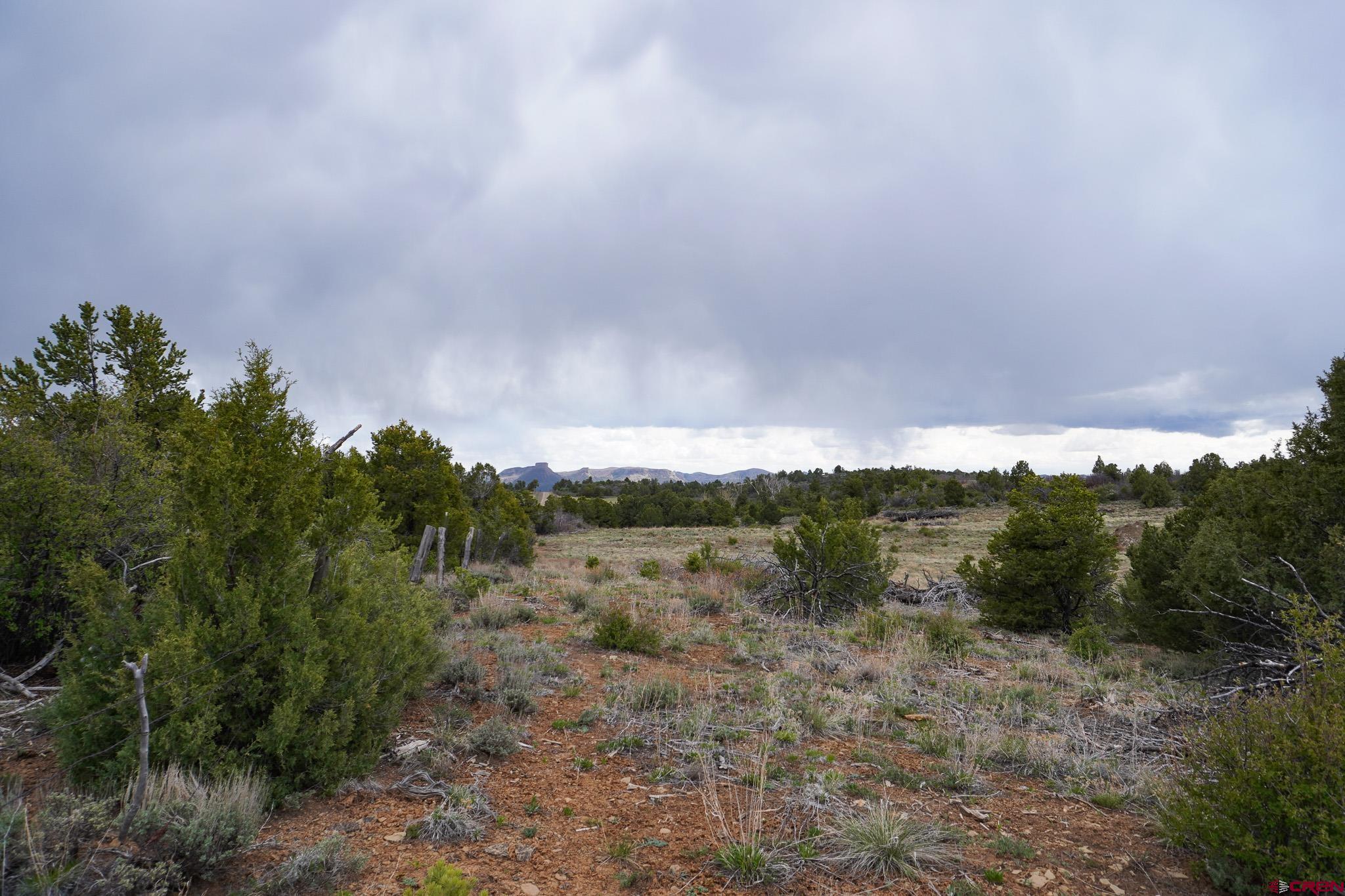 34495 Rd P.2 Mancos, CO 81328 - Photo 39 of 42 a view of a field with trees in the background
