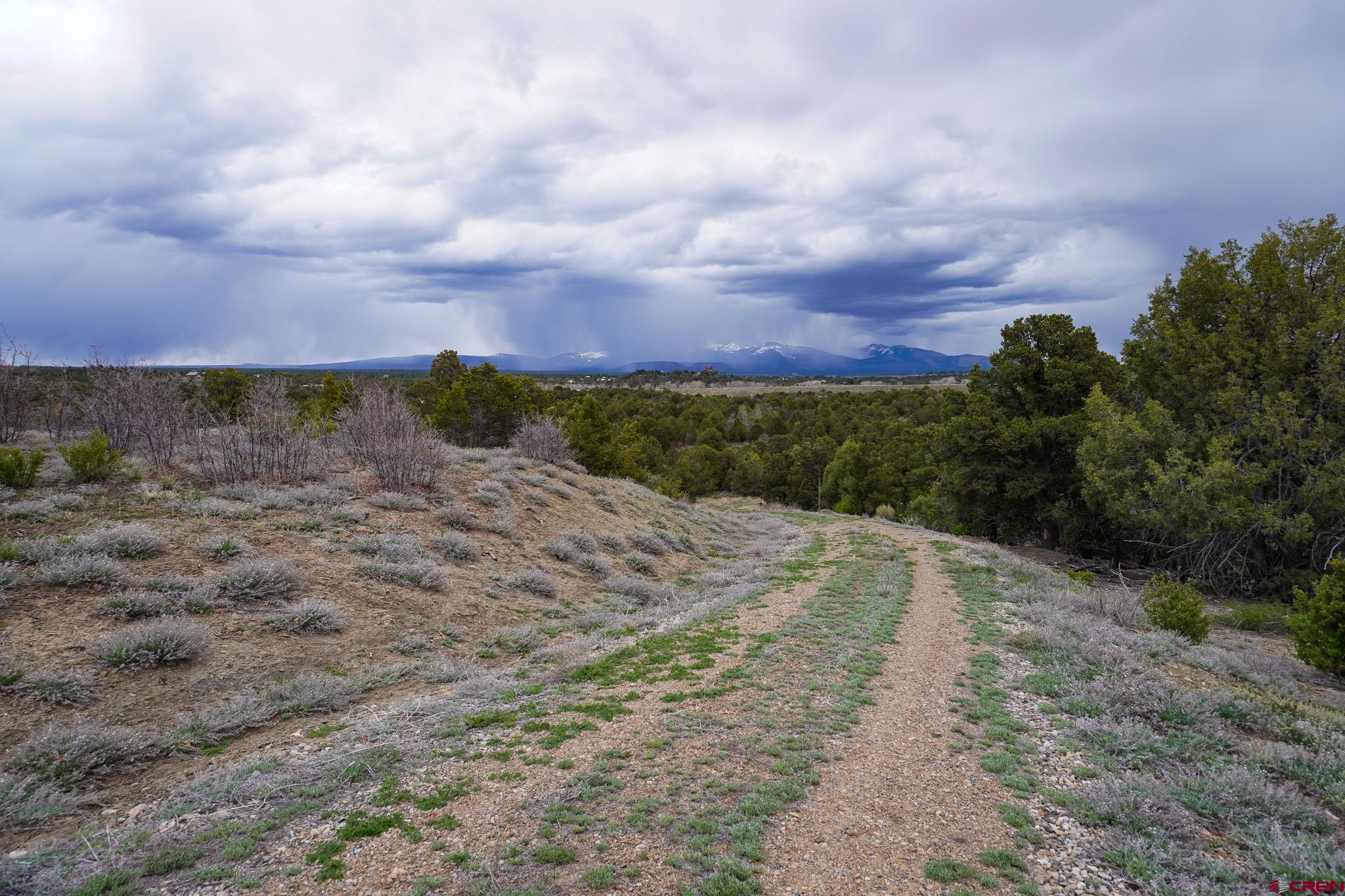 34495 Rd P.2 Mancos, CO 81328 - Photo 41 of 42 a view of a dry yard with wooden fence