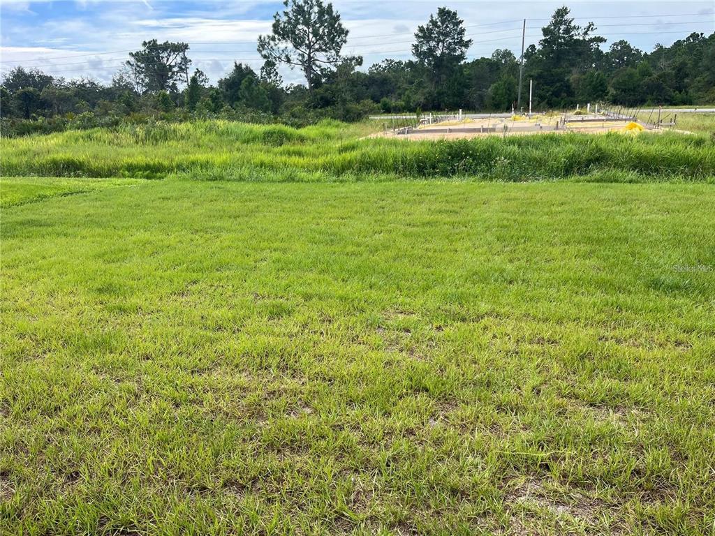 7209 Ancha Street Sebring, FL 33872 - Photo 16 of 18 a view of field with grass and a big yard