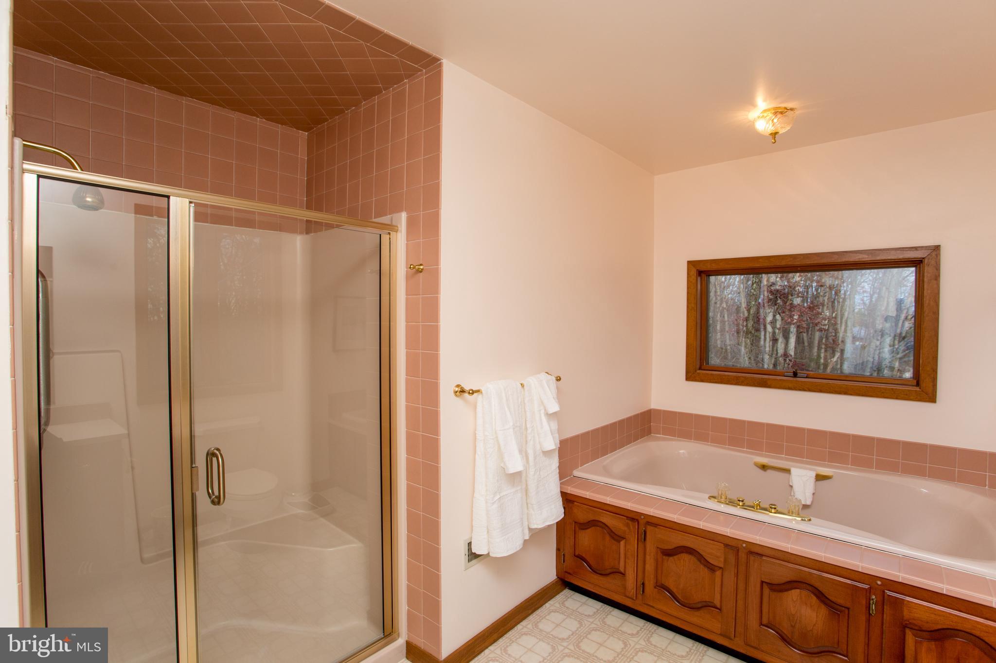 786 Ridge Road Telford, PA 18969 - Photo 54 of 105 Master bathroom