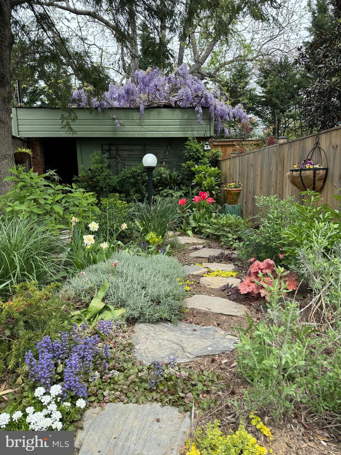 325 East 3rd Street Frederick, MD 21701 - Photo 2 of 54 backyard garden in the spring/summer