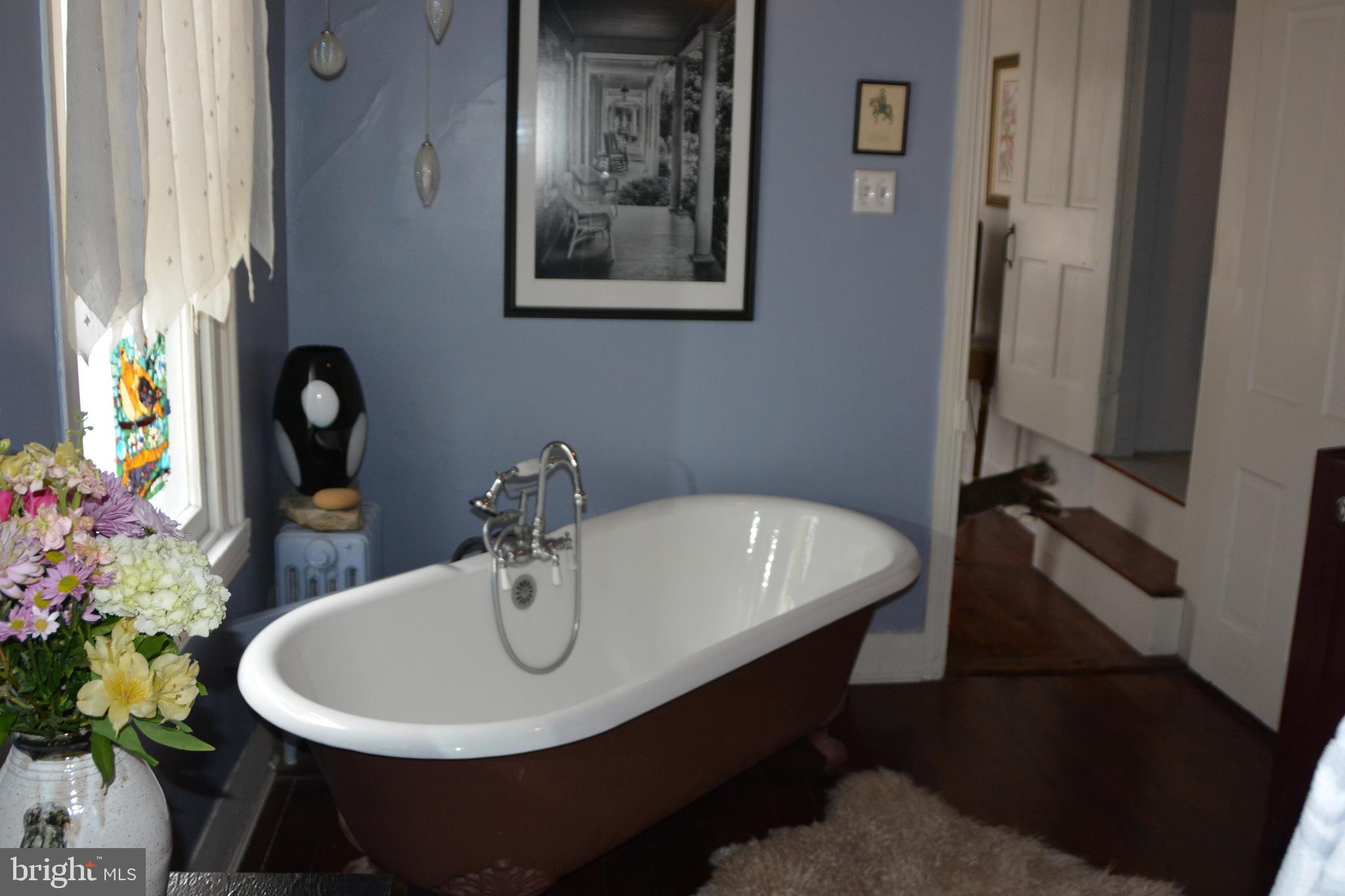 325 East 3rd Street Frederick, MD 21701 - Photo 24 of 54