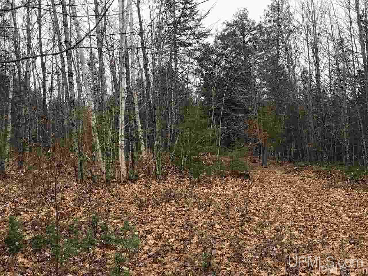 Tbd Off River Road, Unit 2 Hermansville, MI 49847 - Photo 13 of 34