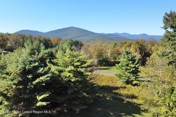 a view of a mountain in the distance