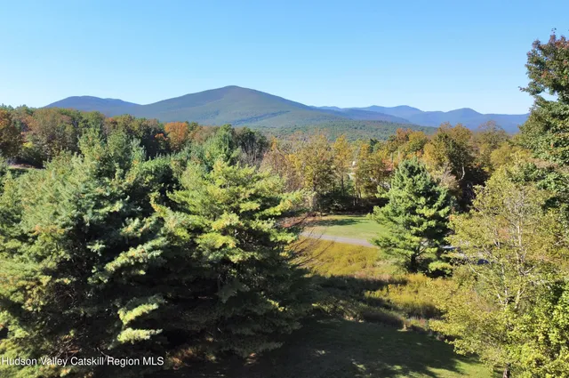 a view of a mountain in the distance
