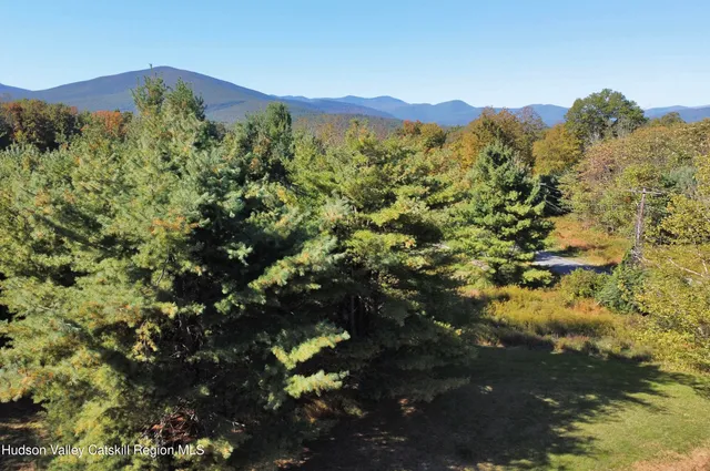a view of a tree with a yard