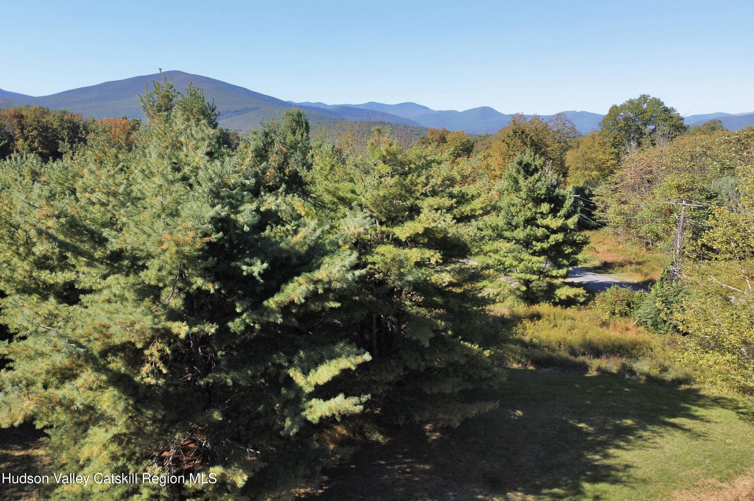 679 Vly Road Stone Ridge, NY 12484 - Photo 11 of 14 a view of a bunch of trees
