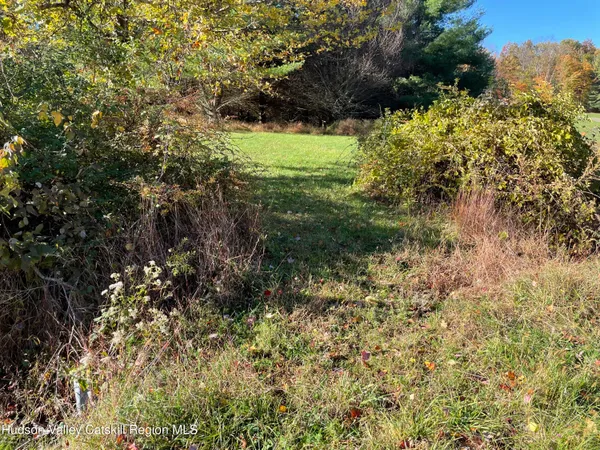 a view of road with trees