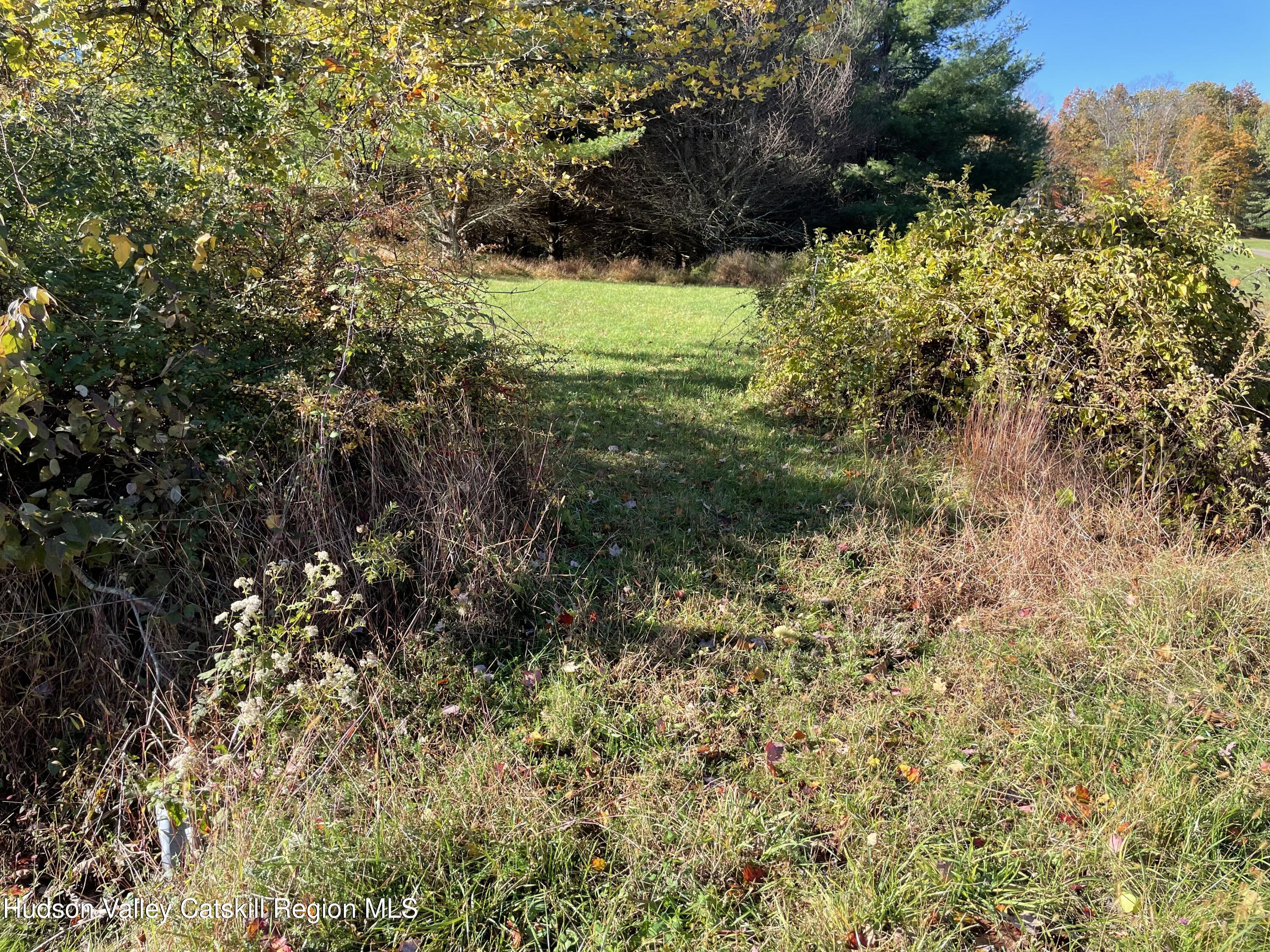 679 Vly Road Stone Ridge, NY 12484 - Photo 12 of 14 a view of a tree with a yard