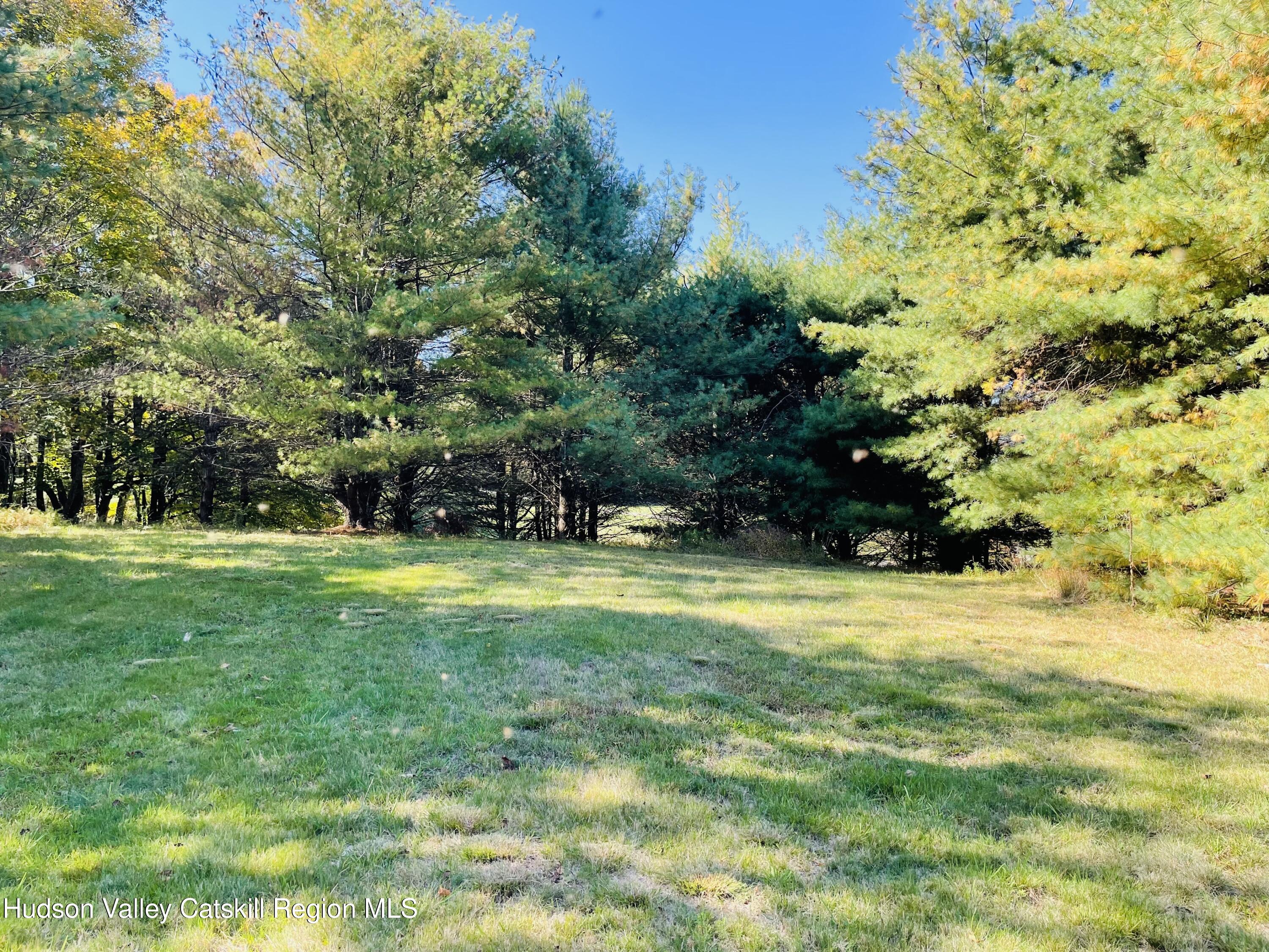 679 Vly Road Stone Ridge, NY 12484 - Photo 14 of 14 a view of a trees in a yard