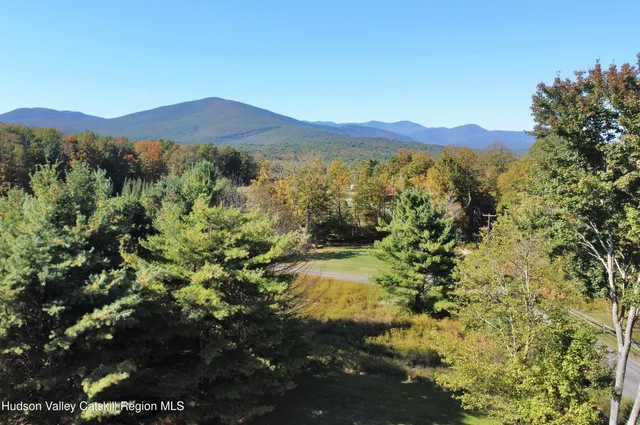a view of a lush green hillside and a mountain view