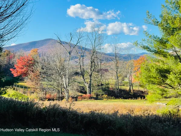 a view of a yard with an outdoor space