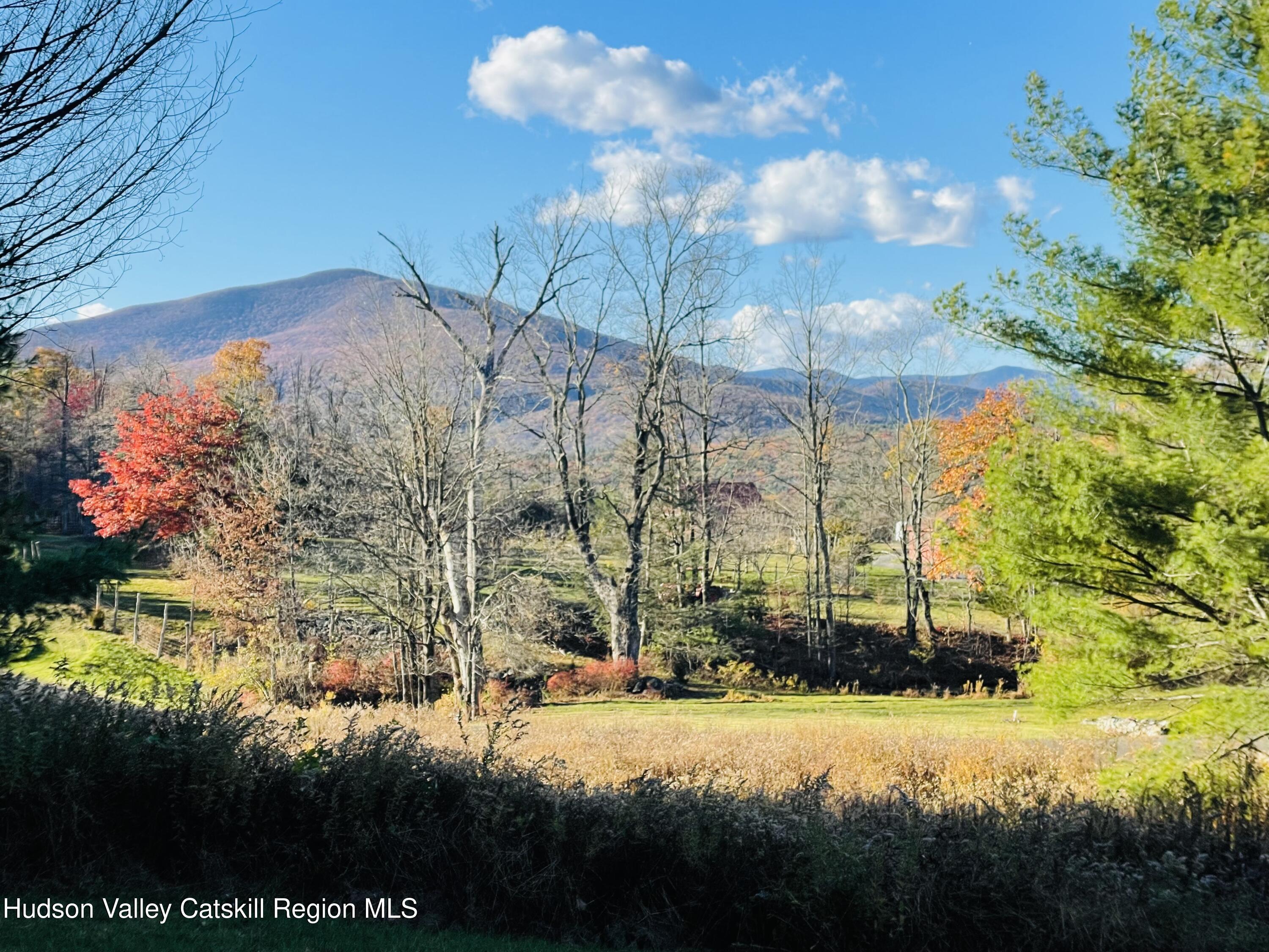 679 Vly Road Stone Ridge, NY 12484 - Photo 3 of 14