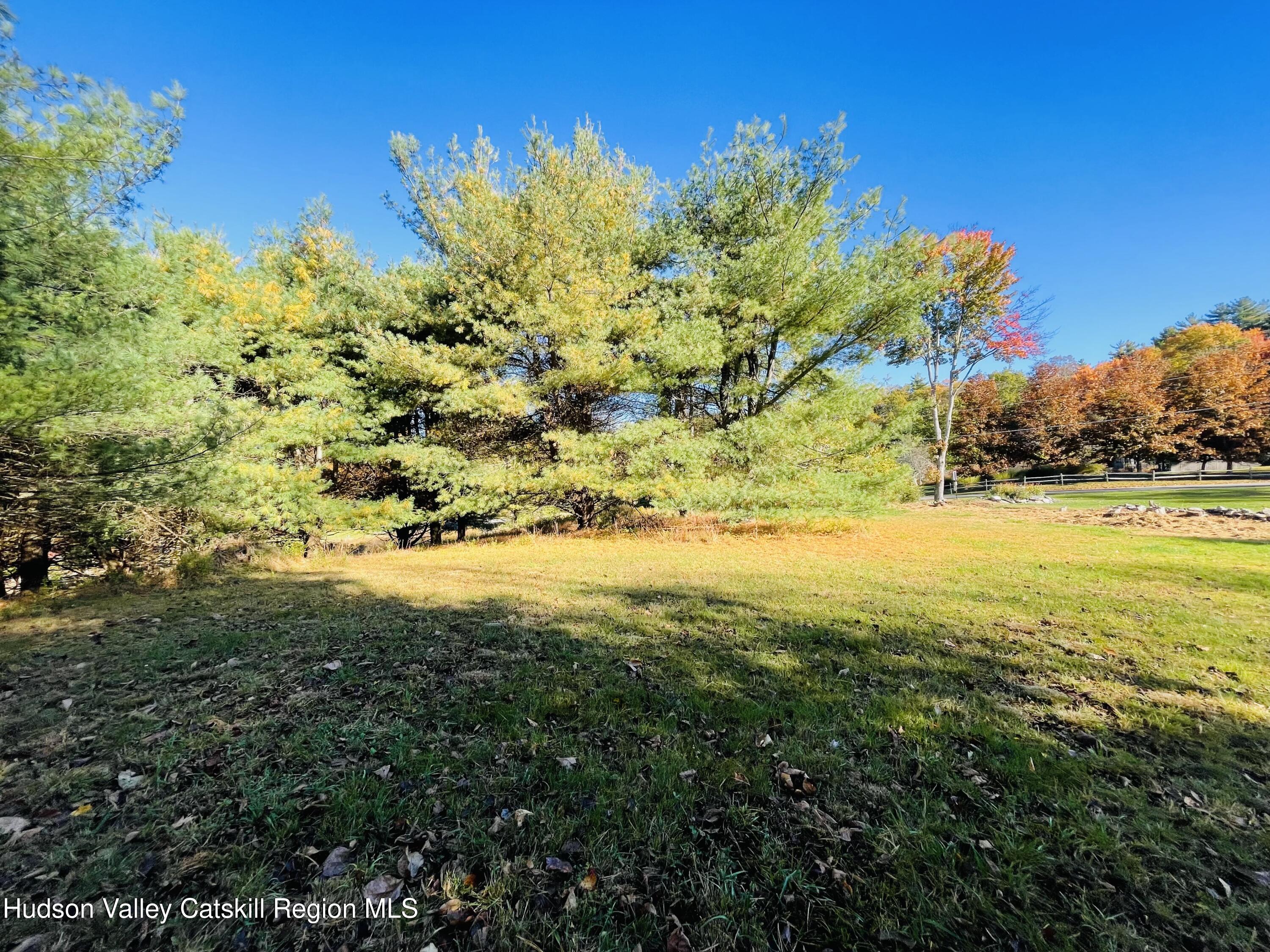 679 Vly Road Stone Ridge, NY 12484 - Photo 4 of 14 a view of a yard with an outdoor space