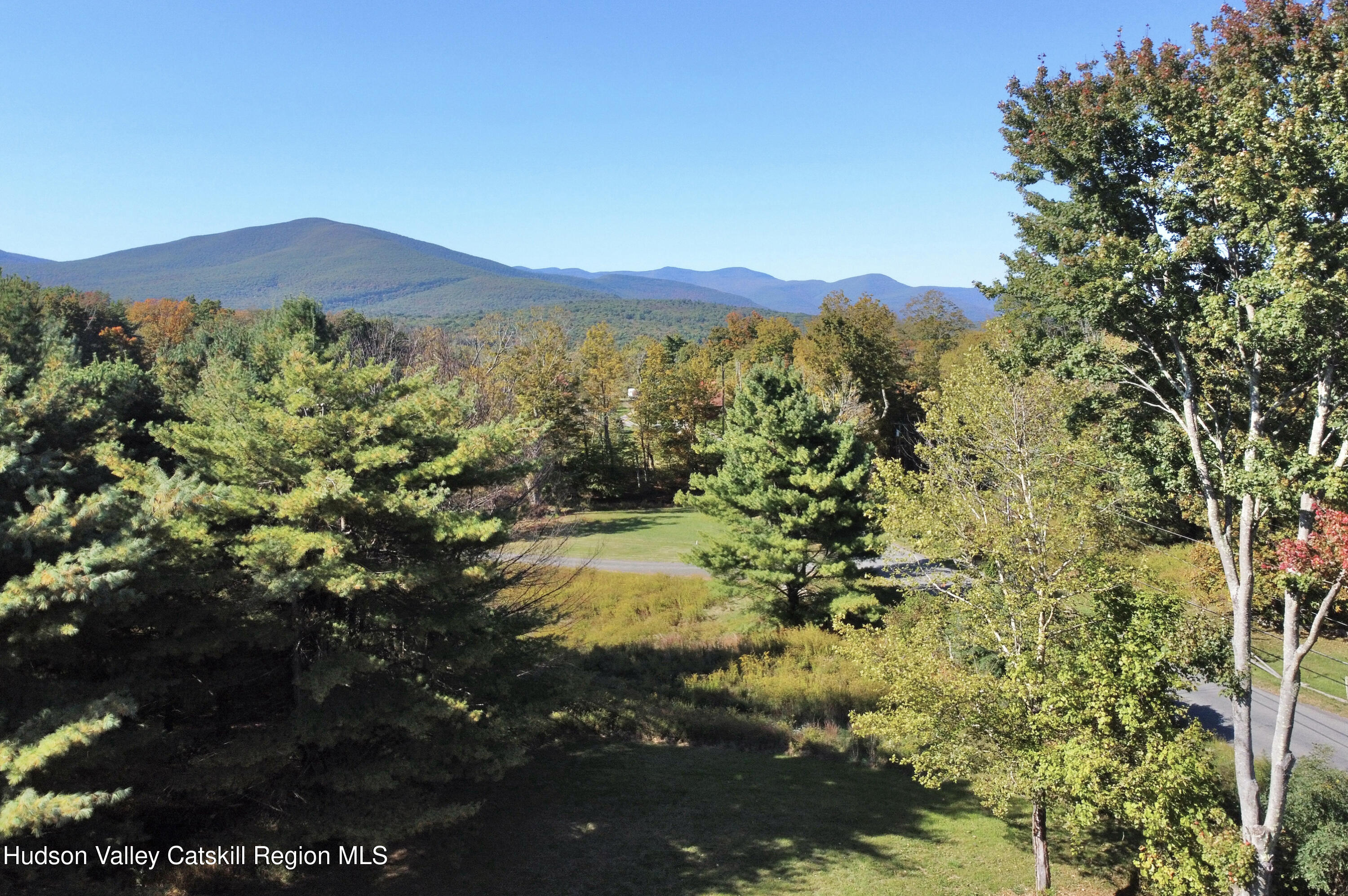 679 Vly Road Stone Ridge, NY 12484 - Photo 7 of 14 a view of a lush green forest with mountains in the background