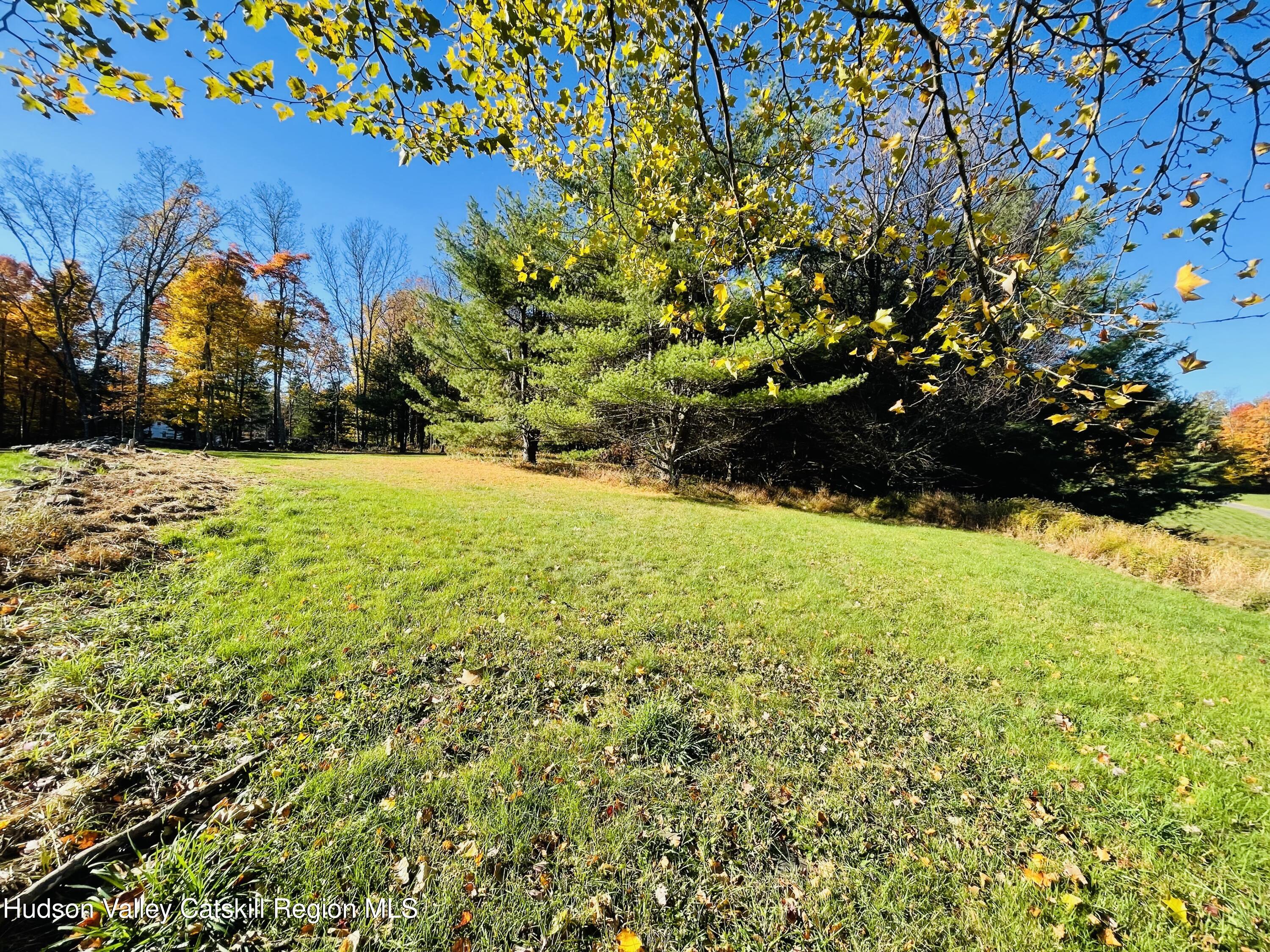 679 Vly Road Stone Ridge, NY 12484 - Photo 8 of 14 a view of outdoor space and yard
