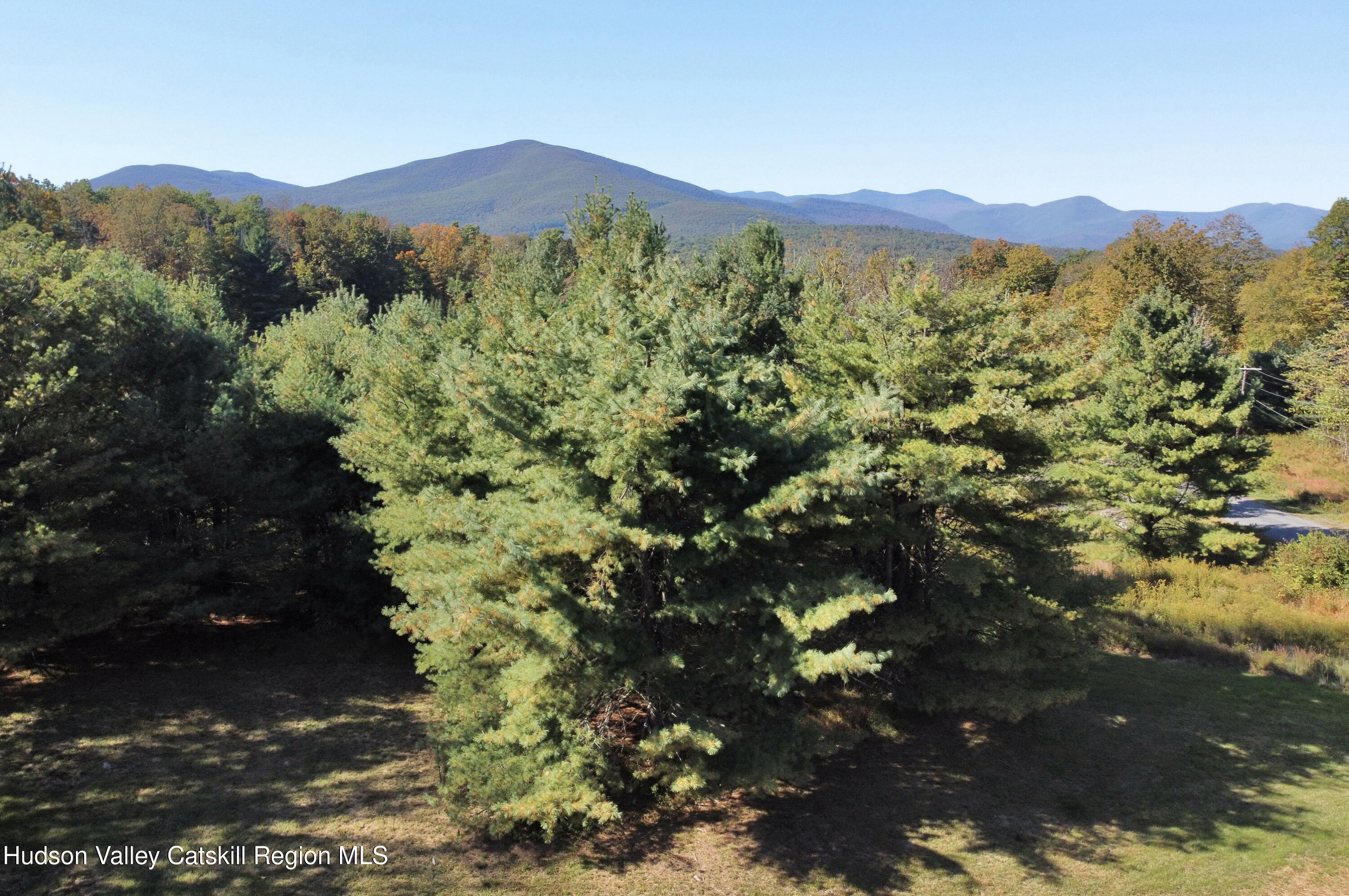 679 Vly Road Stone Ridge, NY 12484 - Photo 9 of 14 a view of a lot of trees and houses
