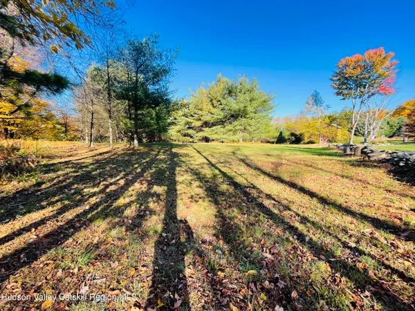 a view of a bunch of trees