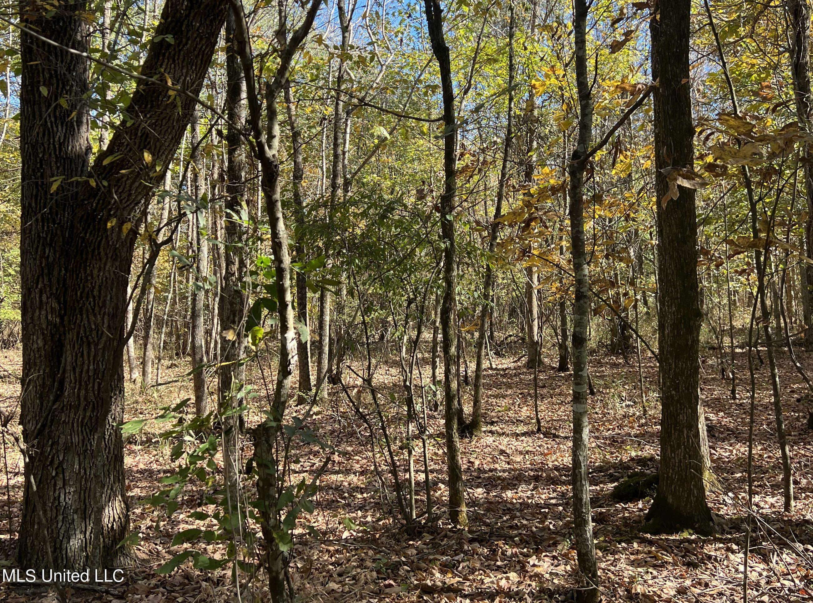 5151 Nash Road Batesville, MS 38606 - Photo 60 of 75 3irvi77