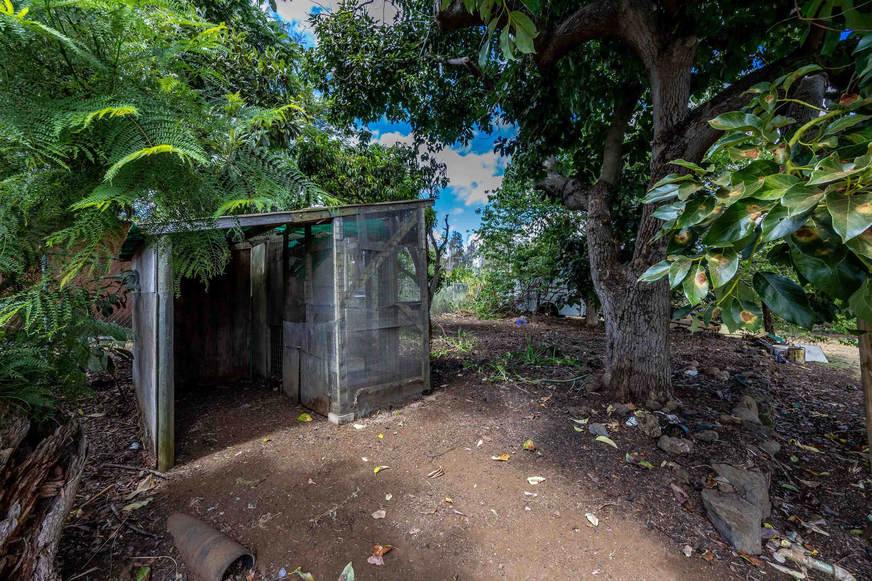 3044 Lower Kula Road Kula, HI 96790 - Photo 22 of 44 a backyard of a house with lots of green space