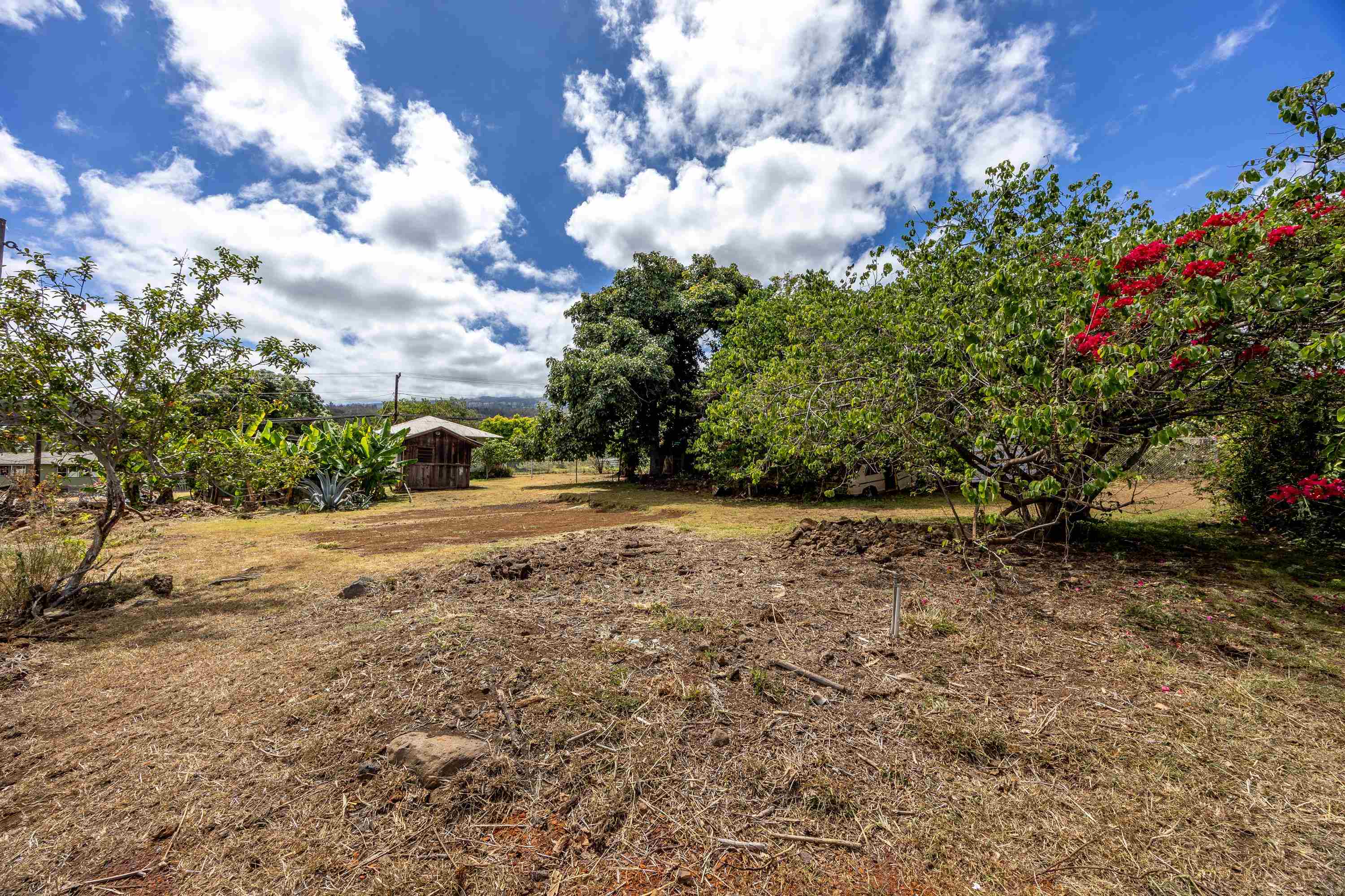 3044 Lower Kula Road Kula, HI 96790 - Photo 24 of 44 a view of dirt yard with a house