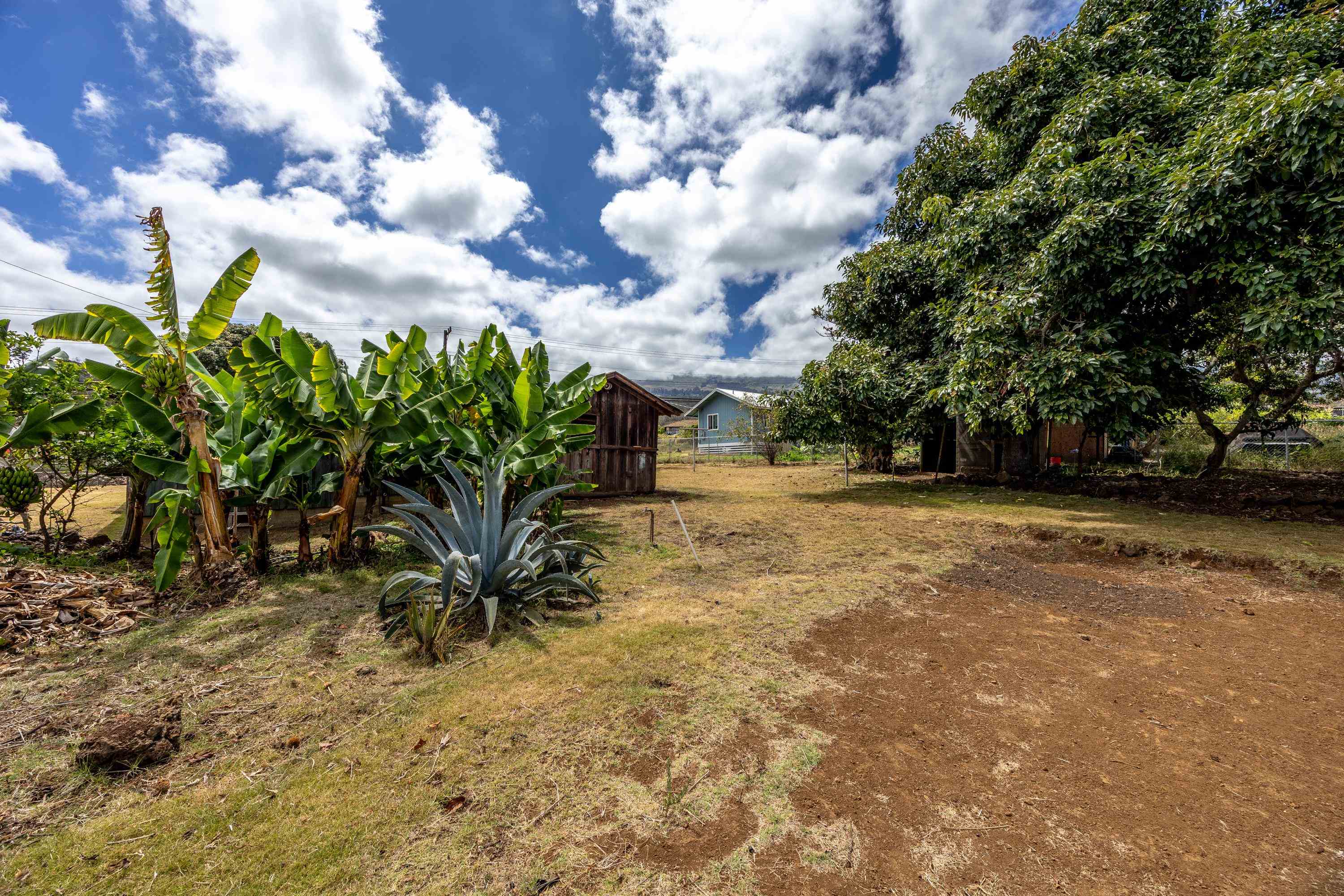 3044 Lower Kula Road Kula, HI 96790 - Photo 27 of 44 a view of outdoor space and yard