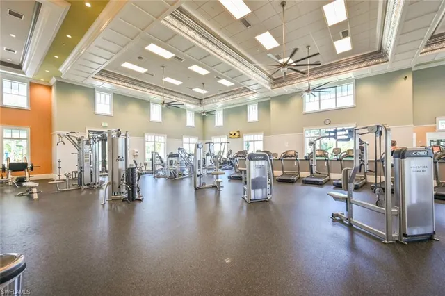 a view of a backyard with plants