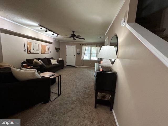 418 Manor Street Hanover, PA 17331 - Photo 11 of 37 Gallery Image 11