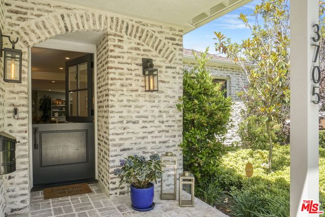 a potted plant sitting in front of a building