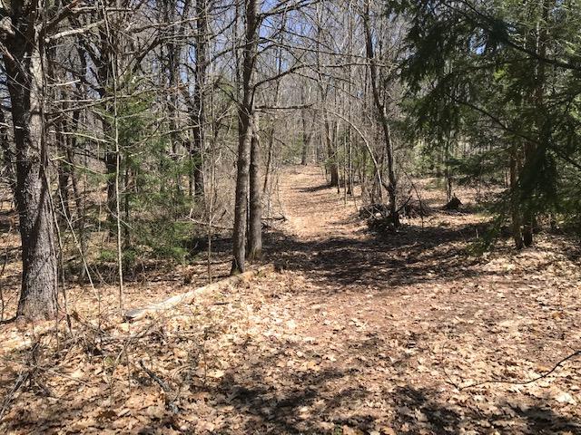 0 Lombard Hill Road Limerick, ME 04048 - Photo 2 of 22 IMG_5371
