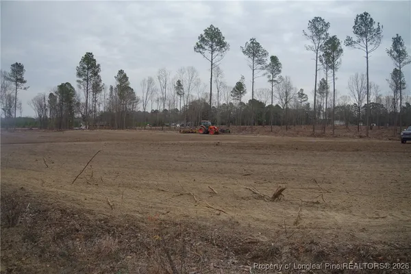 a view of dirt field with large trees