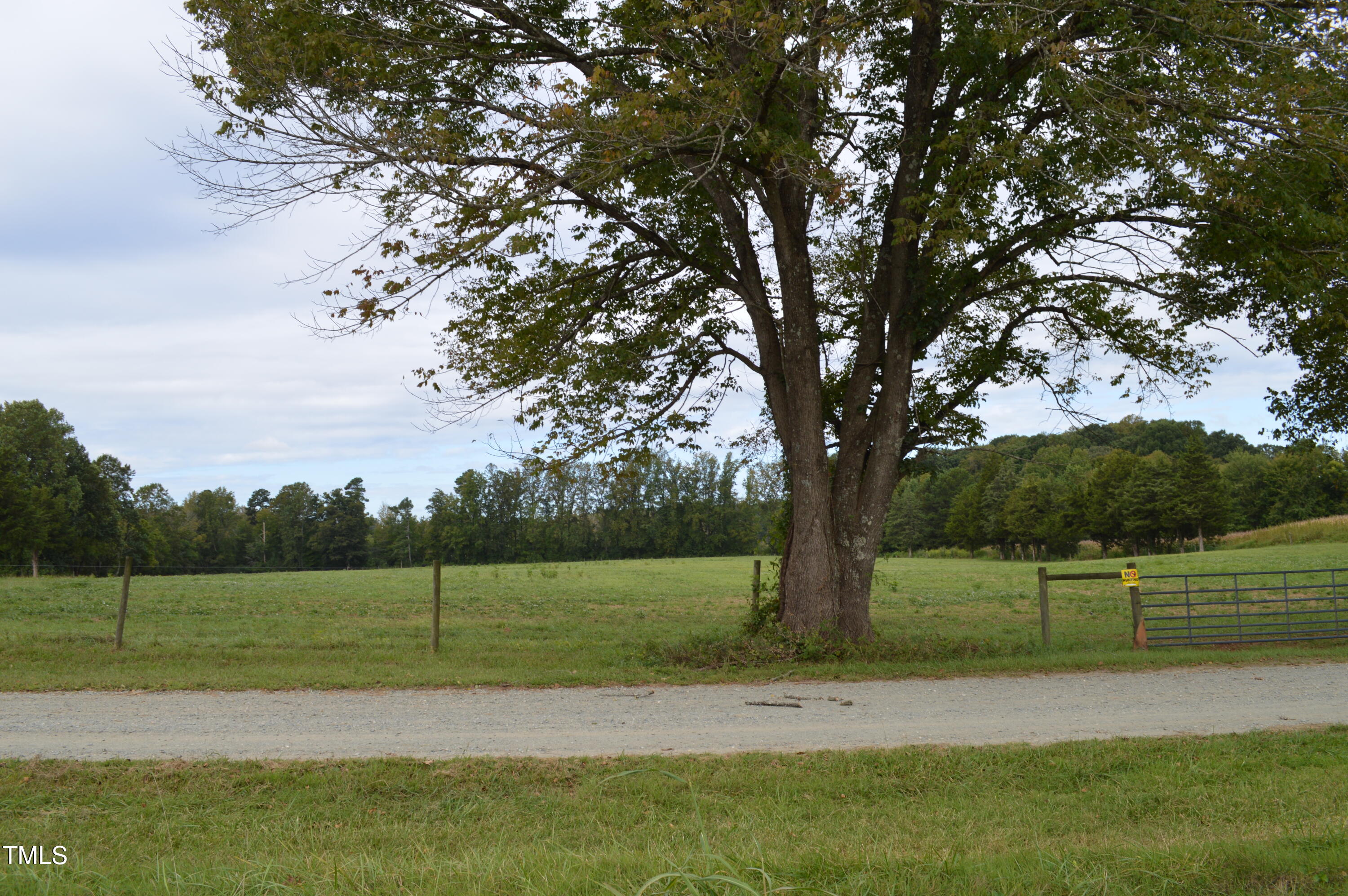 0 Ben Wilson Road Mebane, NC 27302 - Photo 6 of 6 DSC_0050