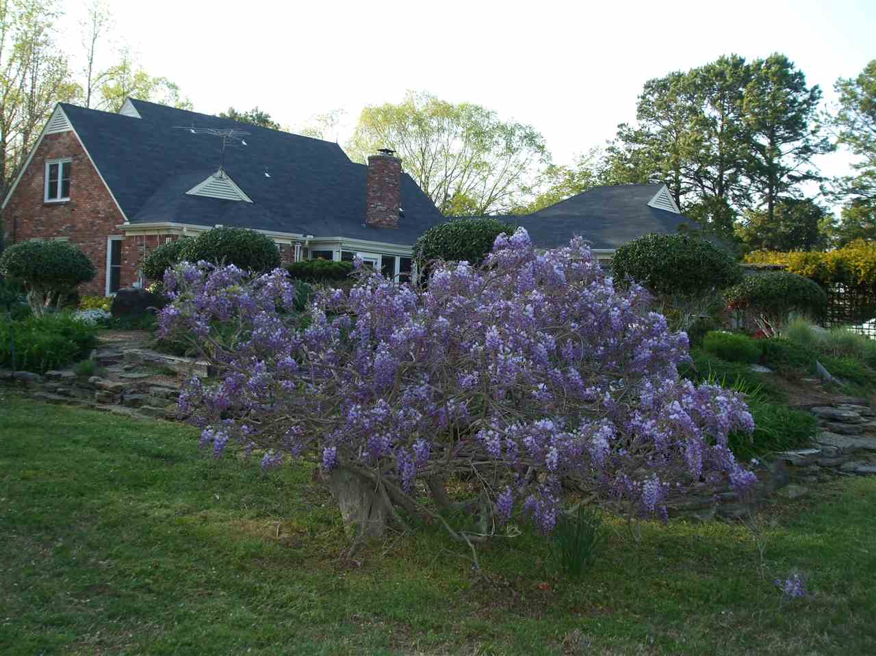 4830 Fleming Road Collierville, TN 38017 - Photo 24 of 25 Gallery Image 24