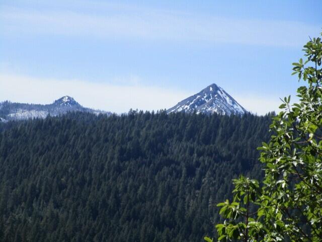 395 East Van Duzen Road Bridgeville, CA 95526 - Photo 10 of 19 View from cabin