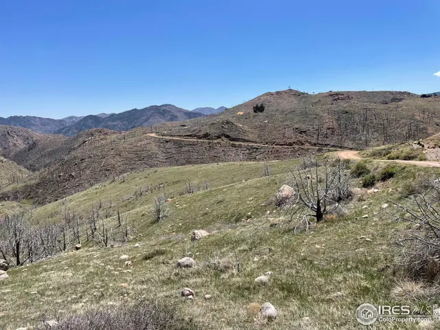 $80,000 | 890 Meadow Mountain Drive, Livermore, CO 80536