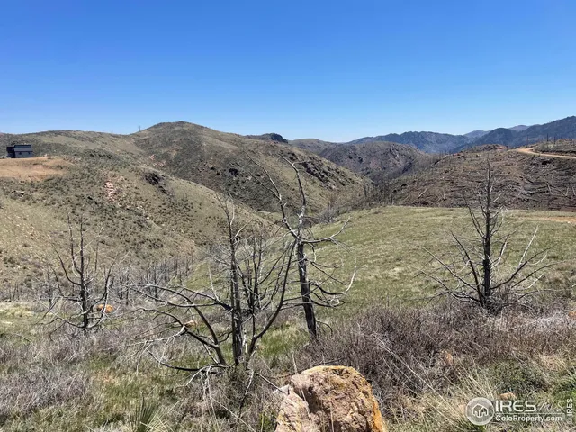 $80,000 | 890 Meadow Mountain Drive, Livermore, CO 80536