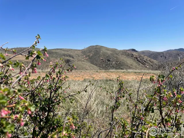 $80,000 | 890 Meadow Mountain Drive, Livermore, CO 80536