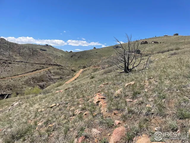 $80,000 | 890 Meadow Mountain Drive, Livermore, CO 80536