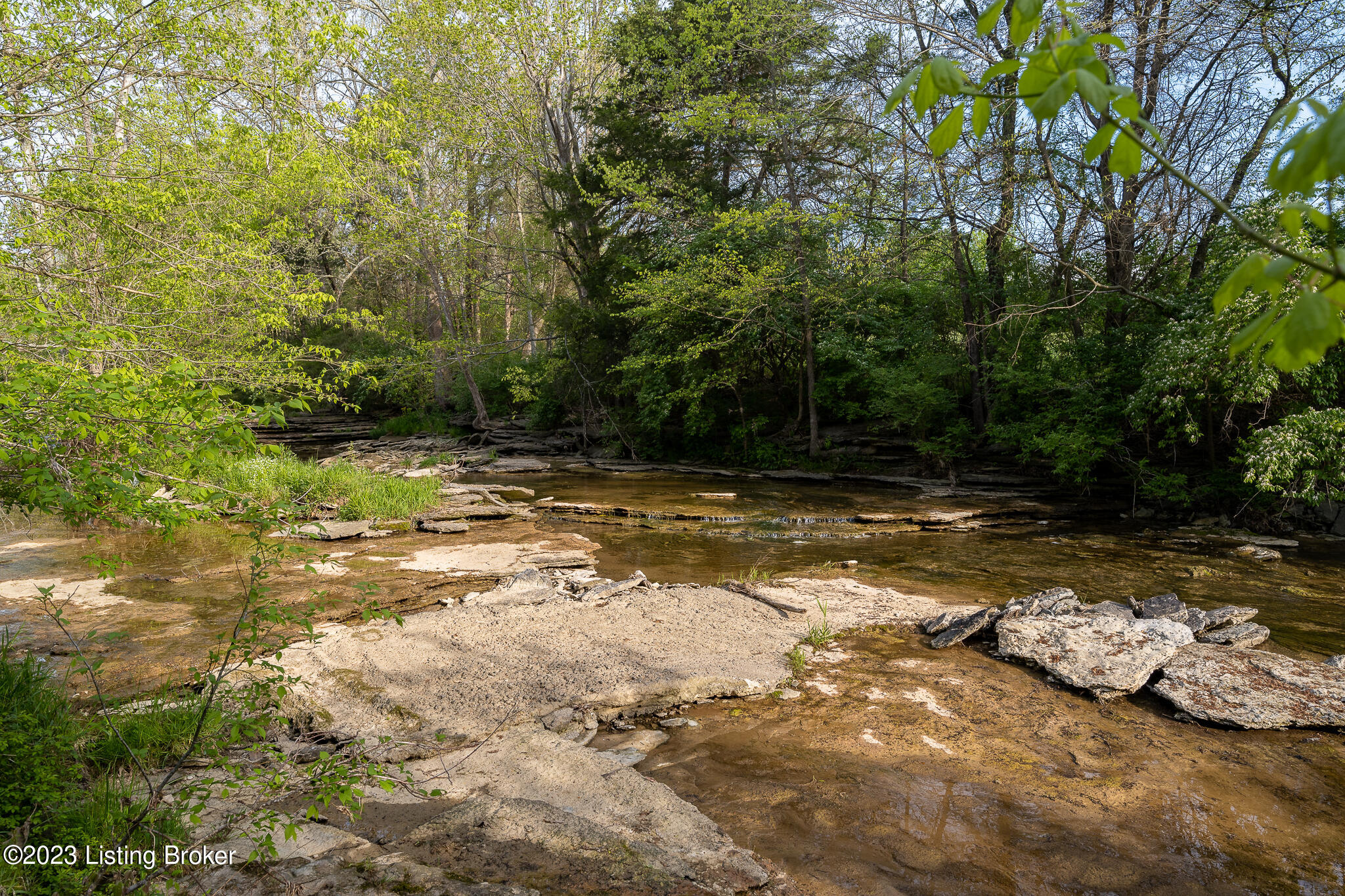 7962 Plum Run Road Bloomfield, KY 40008 - Photo 54 of 66 7962 Plum Run Rd-20