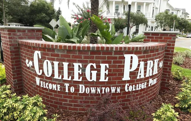 a street view with large trees