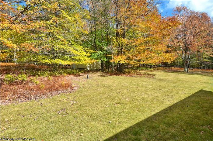 971 Deer Ridge Road Davis, WV 26260 - Photo 18 of 20 Gallery Image 18