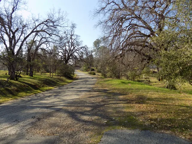 a view of dirt yard with green space