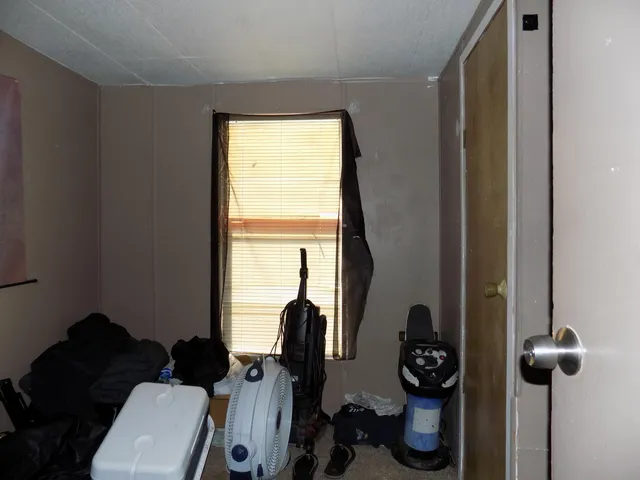 a living room with a bed furniture and a window