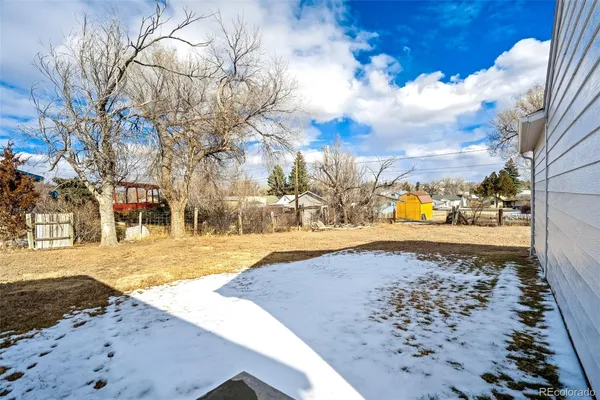 a view of a yard with a large tree