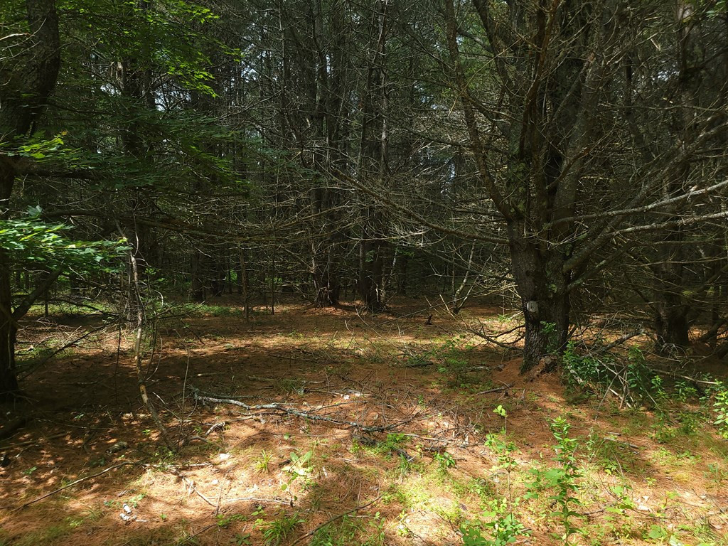 0 John Boswell Road Peru, NY 12972 - Photo 9 of 12