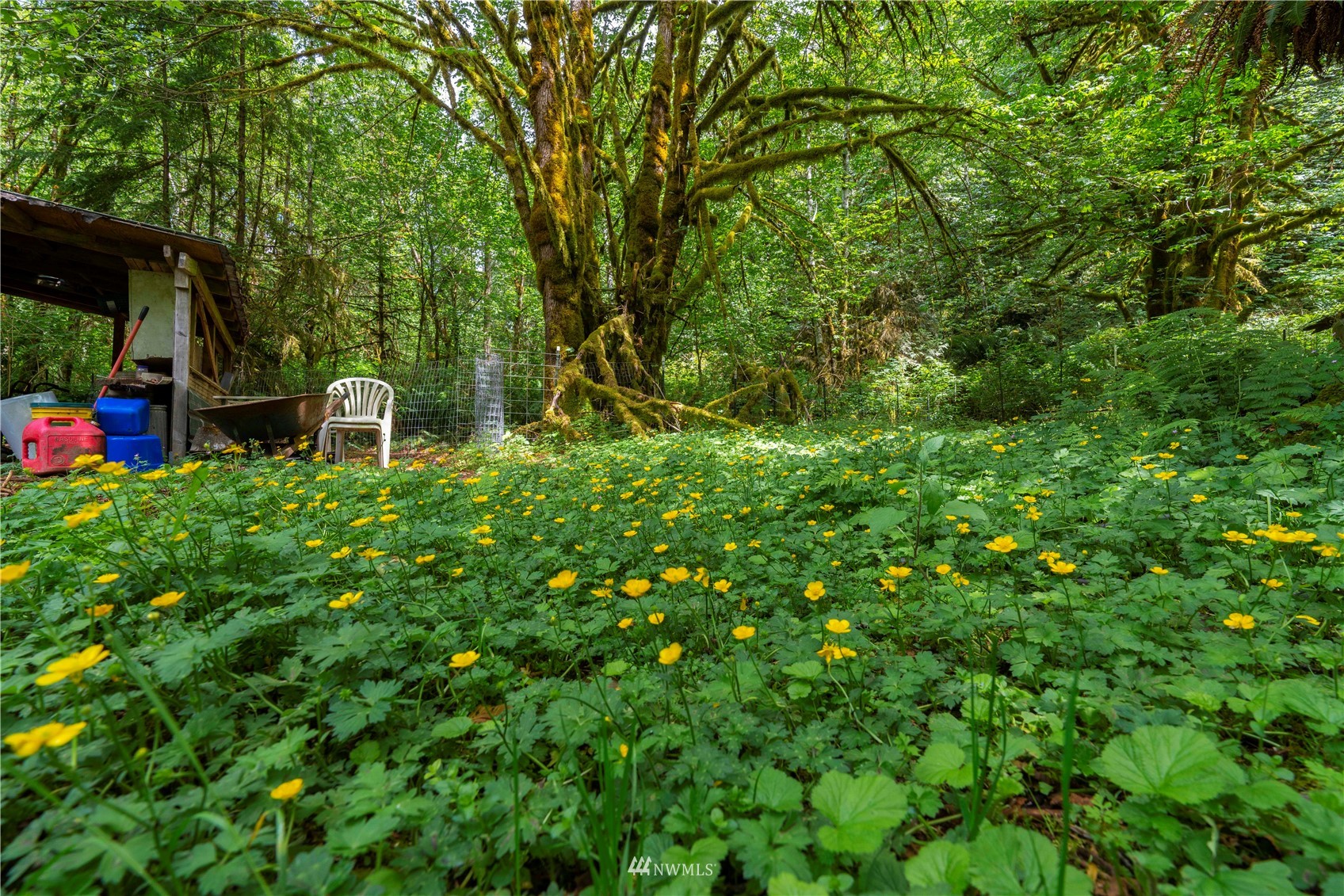 31923 Dotson Road Monroe, WA 98272 - Photo 32 of 36 Gallery Image 32