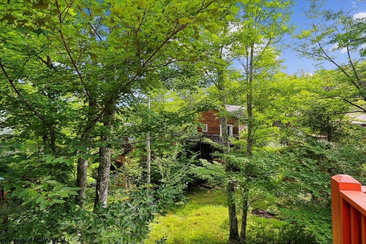 303 Slopeside Road Davis, WV 26260 - Photo 43 of 43 Gallery Image 43