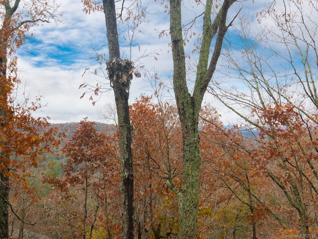 30 Cedar Summit Road Asheville, NC 28803 - Photo 26 of 36 Gallery Image 26