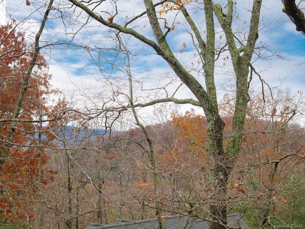 30 Cedar Summit Road Asheville, NC 28803 - Photo 28 of 36 Gallery Image 28