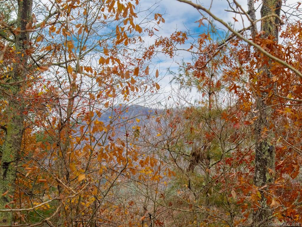 30 Cedar Summit Road Asheville, NC 28803 - Photo 30 of 36 Gallery Image 30